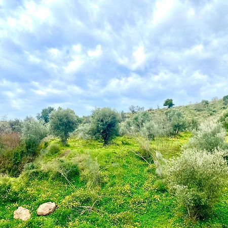 Cozy Studio In Benajarafe With Chimney Εξωτερικό φωτογραφία
