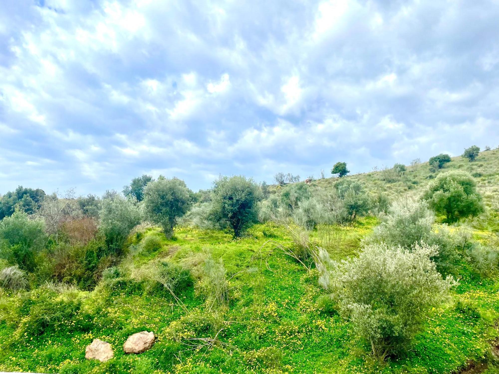Cozy Studio In Benajarafe With Chimney Εξωτερικό φωτογραφία